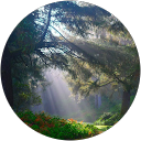 Shubhangi Sharma profile picture